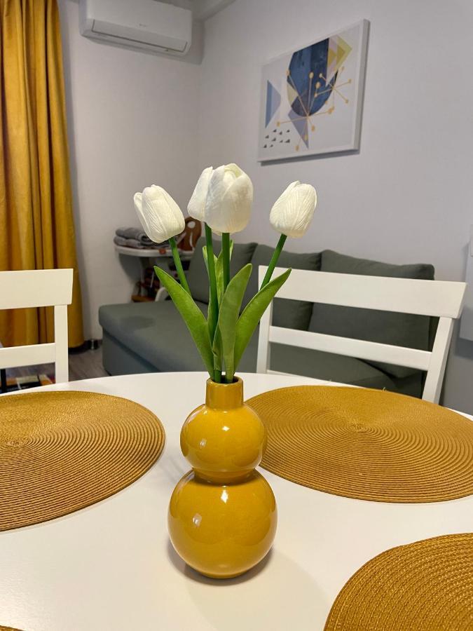 Apartament Mara Băile Felix Εξωτερικό φωτογραφία